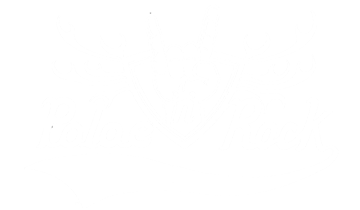 Palae 'n' Rock 2018